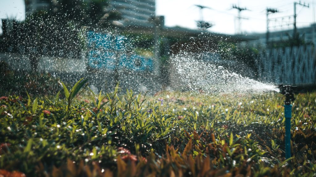 A close up photo of sprinklers watering crops. 