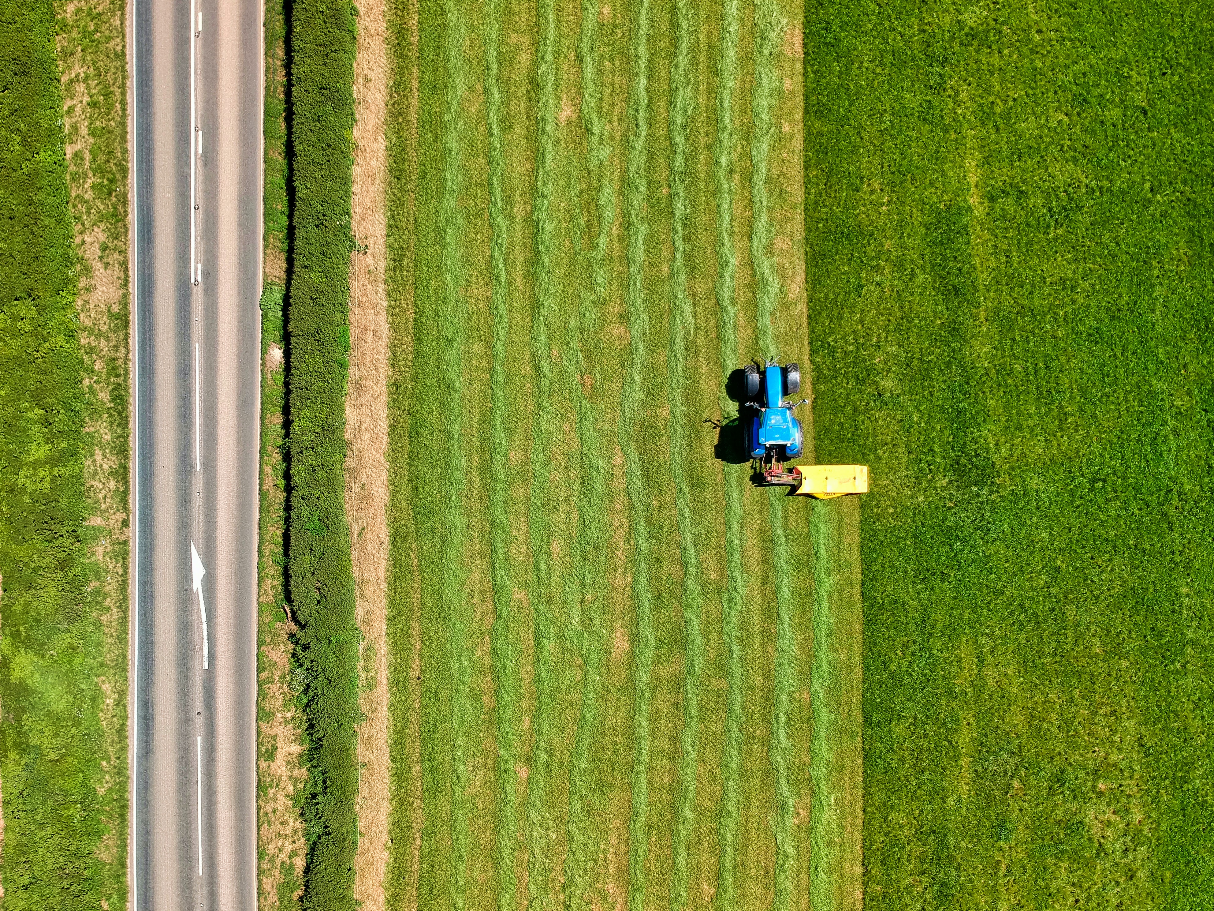 Image of a blue tractor in a green field parallel to a paved road.